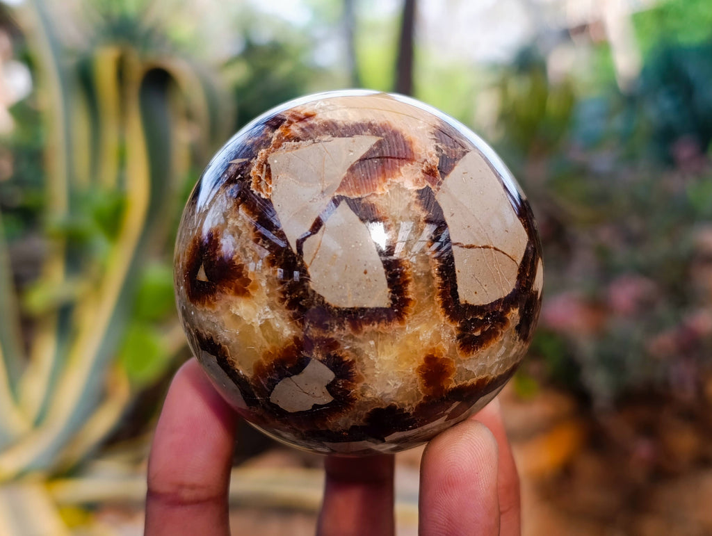 Polished Septaria Spheres x 6 From Madagascar - Toprock Gemstones and Minerals 