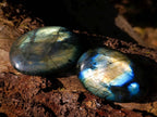 Polished Labradorite Galets x 12 From Tulear, Madagascar - Toprock Gemstones and Minerals 