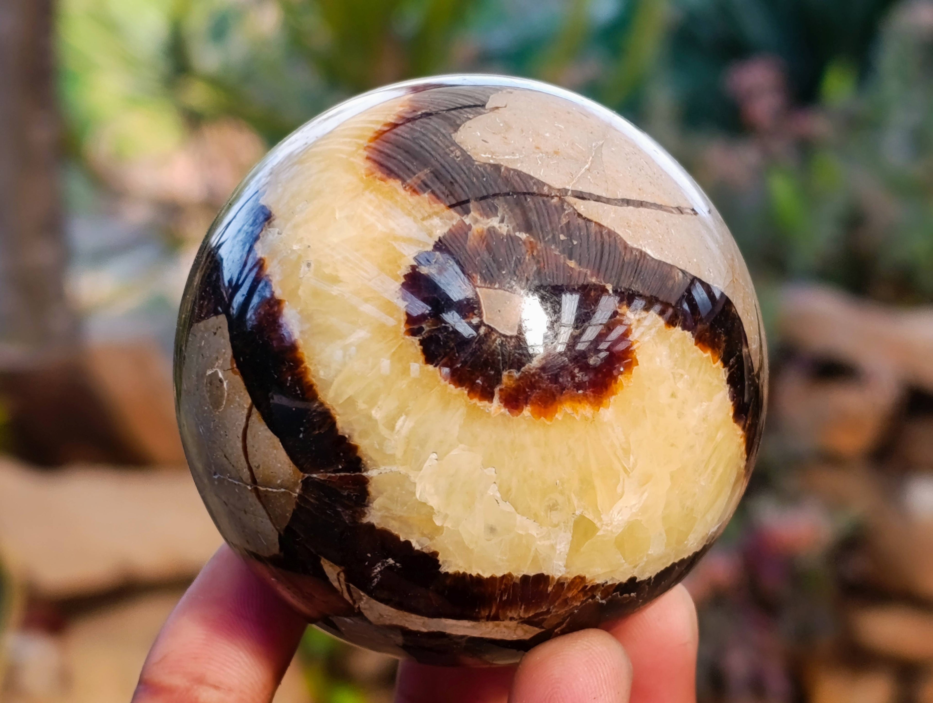 Polished Septaria Spheres x 6 From Madagascar - Toprock Gemstones and Minerals 