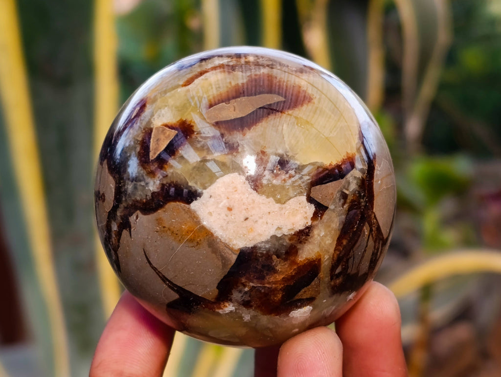 Polished Septaria Spheres x 6 From Madagascar - Toprock Gemstones and Minerals 