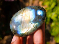Polished Labradorite Galets x 12 From Tulear, Madagascar - Toprock Gemstones and Minerals 