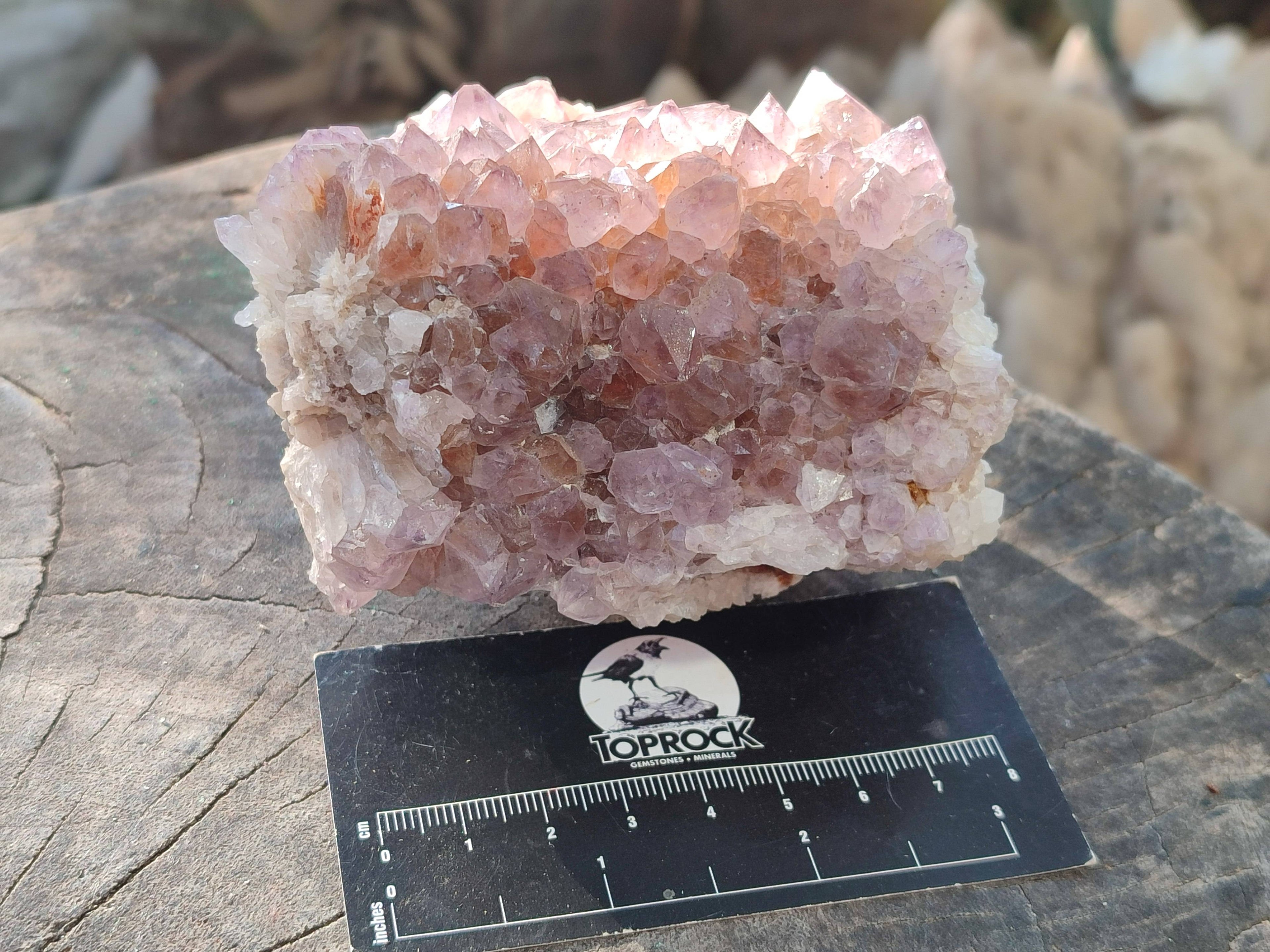 Natural Sunburst Amethyst Spirit Quartz Clusters x 3 From Boekenhouthoek, South Africa - Toprock Gemstones and Minerals 