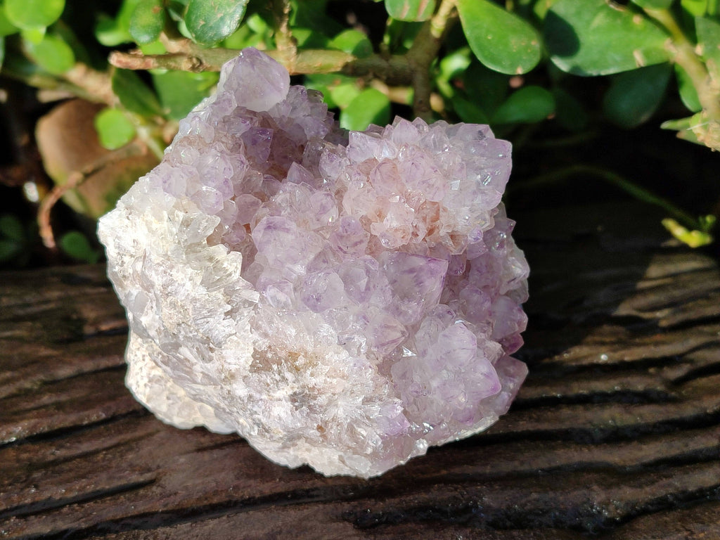 Natural Sunburst Amethyst Spirit Quartz Clusters x 3 From Boekenhouthoek, South Africa - Toprock Gemstones and Minerals 