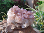 Natural Sunburst Amethyst Spirit Quartz Clusters x 3 From Boekenhouthoek, South Africa - Toprock Gemstones and Minerals 