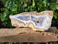 Blue Lace Agate With Cracy Lace x 2 From Namibia