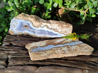 Blue Lace Agate With Cracy Lace x 2 From Namibia