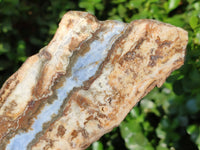 Blue Lace Agate With Cracy Lace x 2 From Namibia