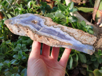 Blue Lace Agate With Cracy Lace x 2 From Namibia