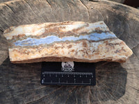 Blue Lace Agate With Cracy Lace x 2 From Namibia