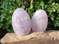 Polished Lavender Rose Quartz Standing Free Forms x 2 From Madagascar