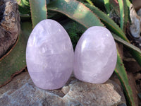 Polished Lavender Rose Quartz Standing Free Forms x 2 From Madagascar