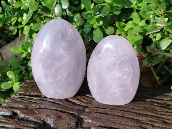 Polished Lavender Rose Quartz Standing Free Forms x 2 From Madagascar