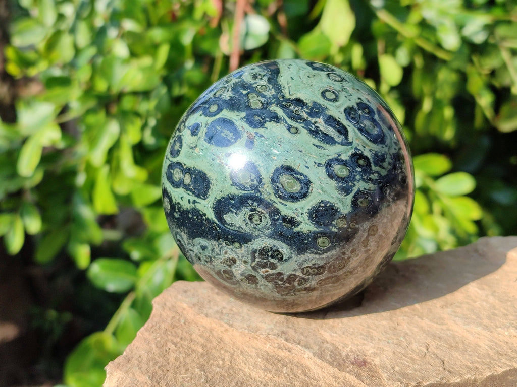 Polished Stomatolite Spheres x 2 From Katsepy, Madagascar - Toprock Gemstones and Minerals 
