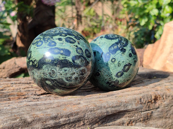 Polished Stomatolite Spheres x 2 From Katsepy, Madagascar
