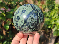 Polished Stomatolite Spheres x 2 From Katsepy, Madagascar