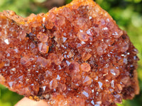 Natural Amethystos Quartz Crystals x 12 From Kwaggafontien, South Africa