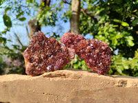 Natural Amethystos Quartz Crystals x 12 From Kwaggafontien, South Africa
