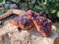 Natural Amethystos Quartz Crystals x 12 From Kwaggafontien, South Africa