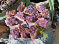 Natural Amethystos Quartz Crystals x 12 From Kwaggafontien, South Africa