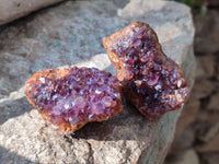 Natural Amethystos Quartz Crystals x 12 From Kwaggafontien, South Africa