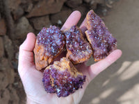 Natural Amethystos Quartz Crystals x 12 From Kwaggafontien, South Africa