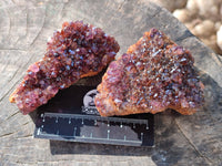 Natural Amethystos Quartz Crystals x 12 From Kwaggafontien, South Africa