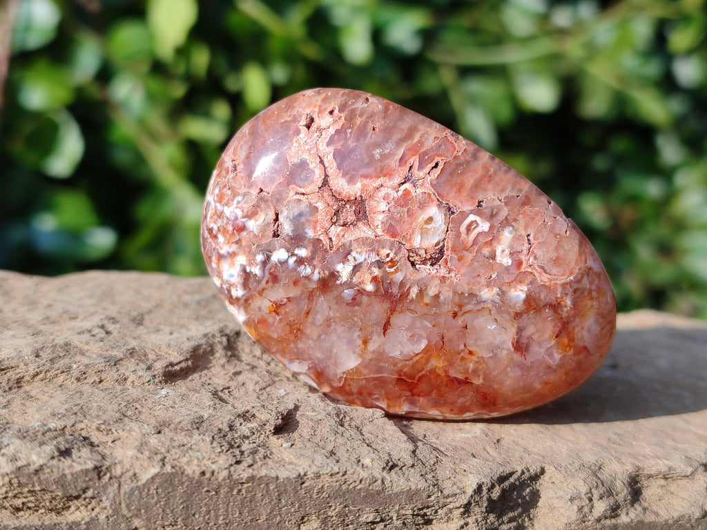 Polished Carnelian Galets x 13 From Madagascar - Toprock Gemstones and Minerals 