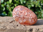 Polished Carnelian Galets x 13 From Madagascar - Toprock Gemstones and Minerals 