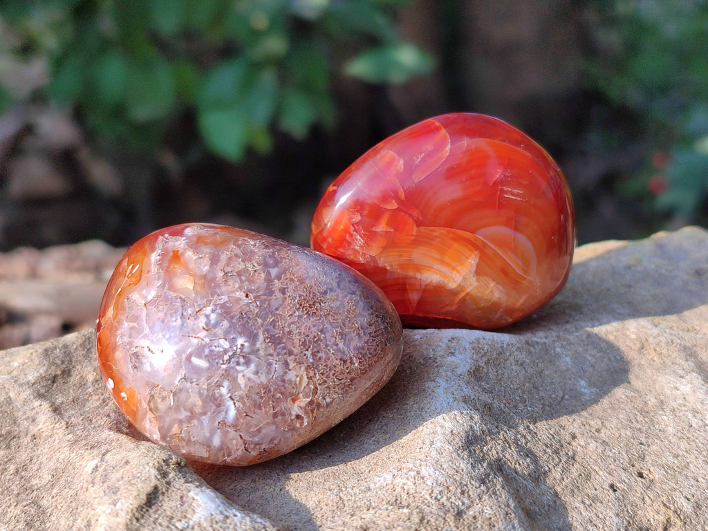 Polished Carnelian Galets x 13 From Madagascar - Toprock Gemstones and Minerals 