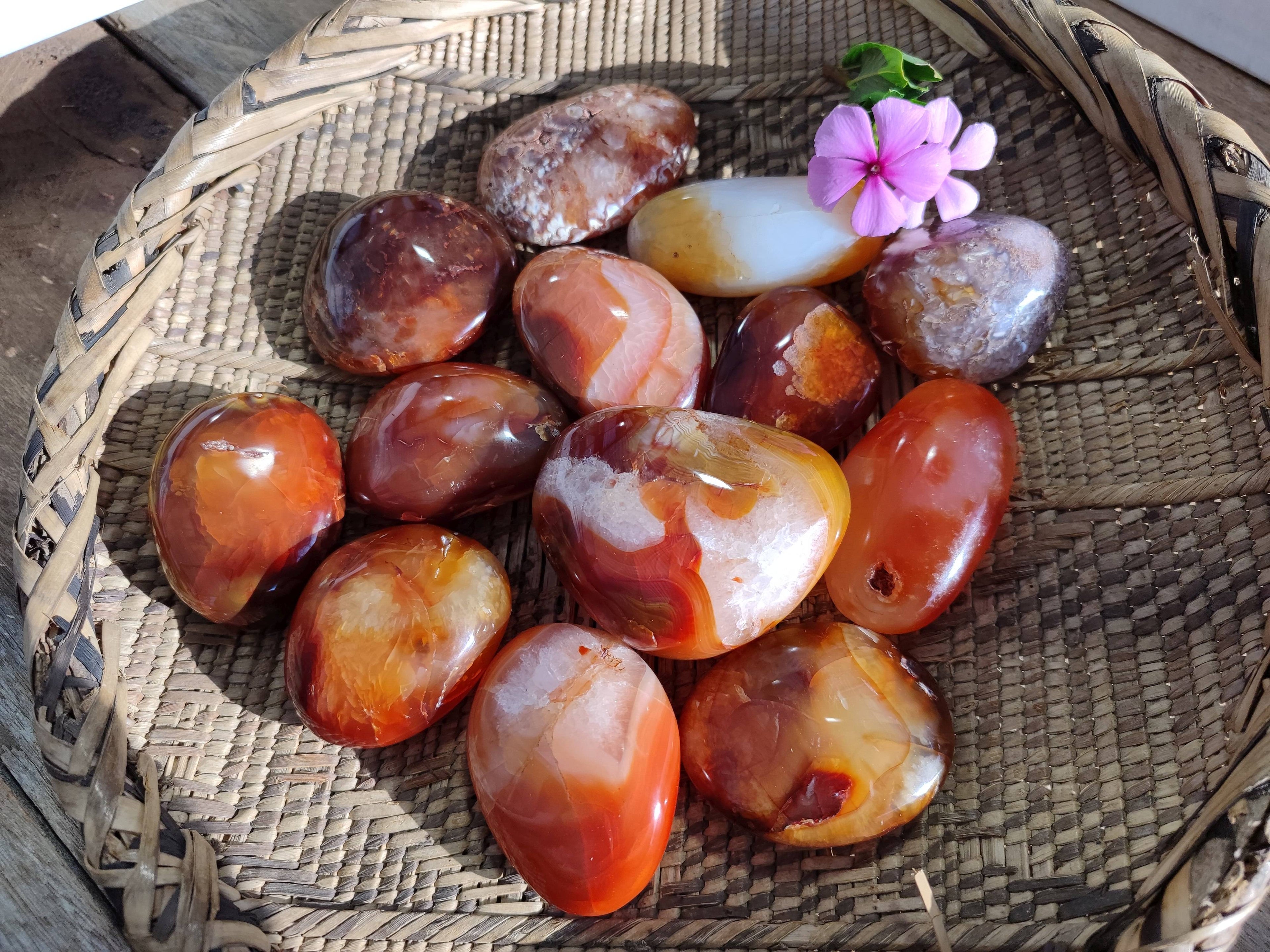 Polished Carnelian Galets x 13 From Madagascar - Toprock Gemstones and Minerals 