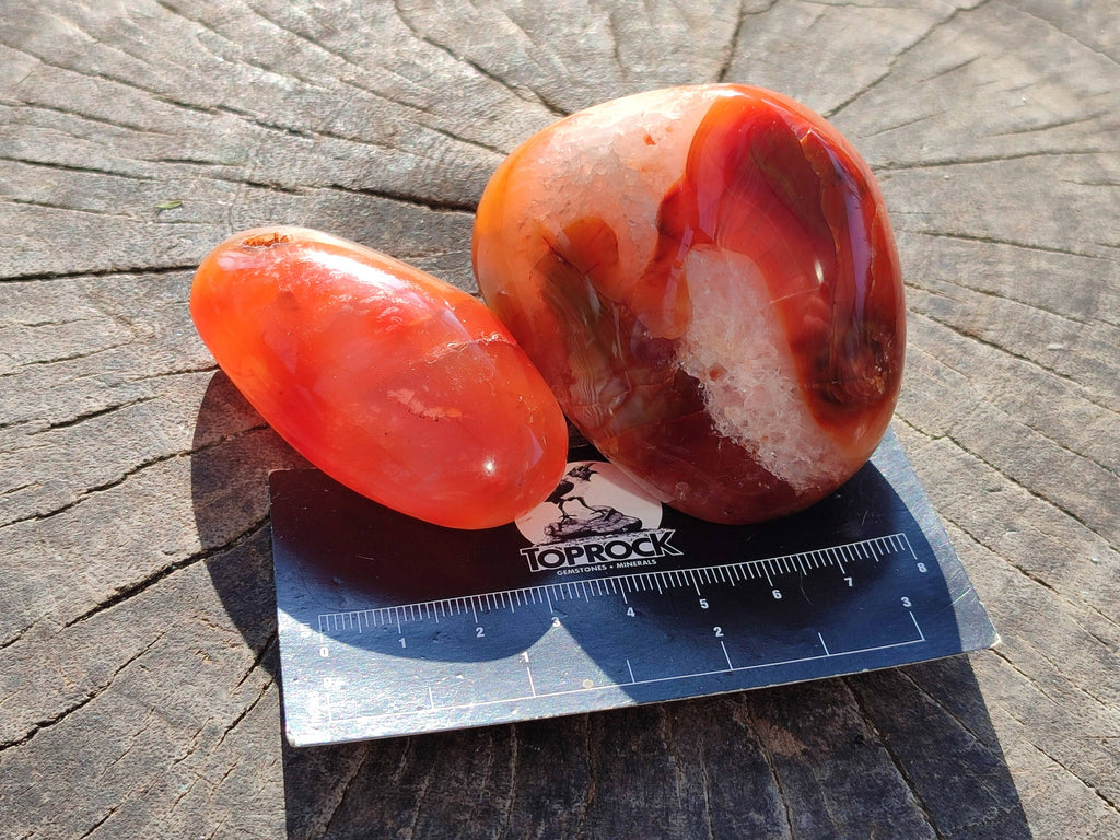 Polished Carnelian Galets x 13 From Madagascar - Toprock Gemstones and Minerals 