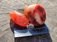Polished Carnelian Galets x 13 From Madagascar