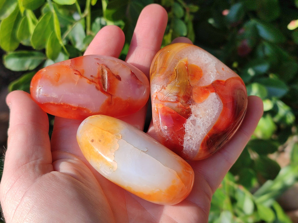 Polished Carnelian Galets x 13 From Madagascar - Toprock Gemstones and Minerals 
