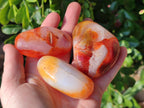 Polished Carnelian Galets x 13 From Madagascar - Toprock Gemstones and Minerals 