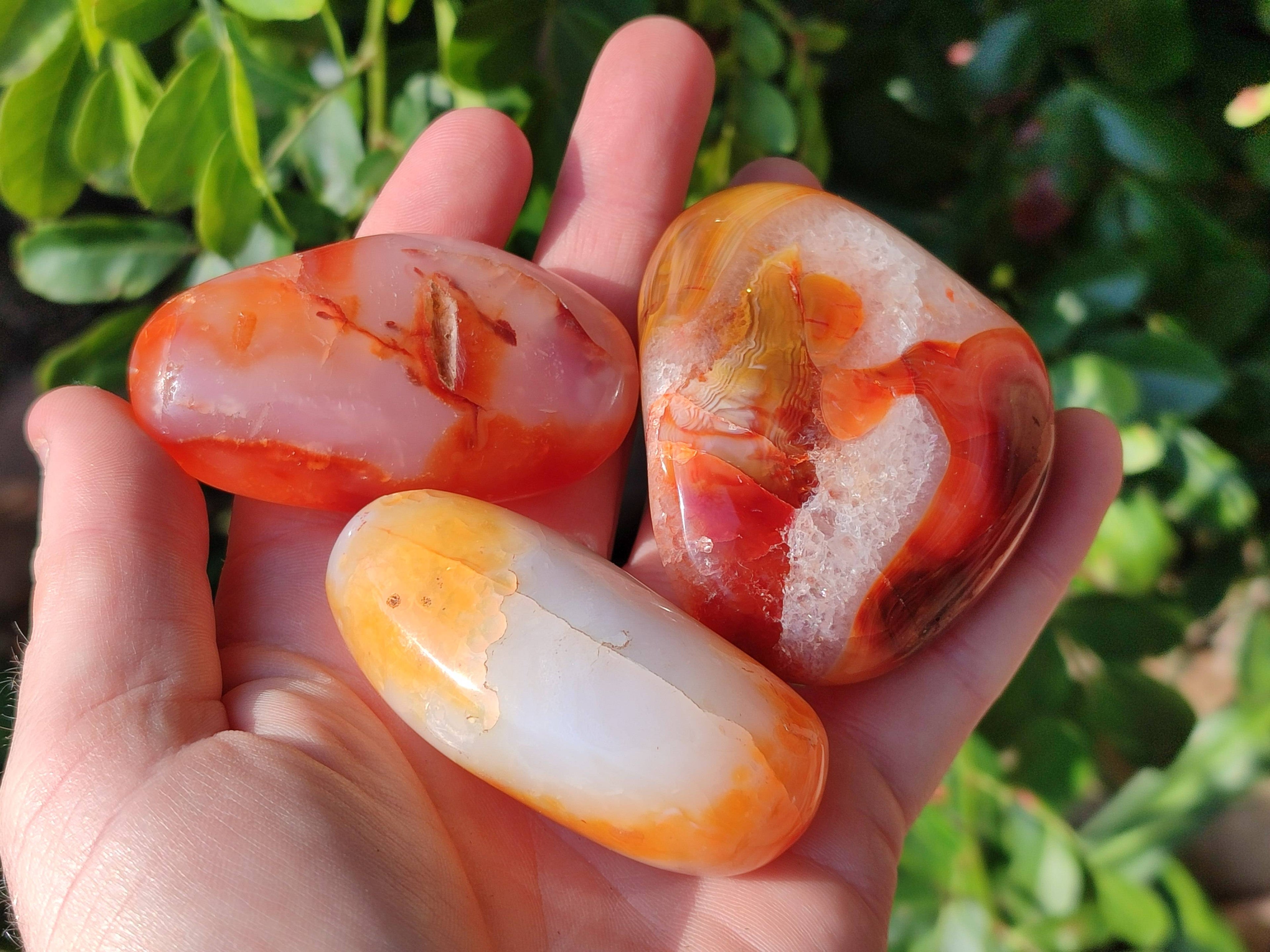 Polished Carnelian Galets x 13 From Madagascar - Toprock Gemstones and Minerals 