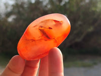 Polished Carnelian Galets x 13 From Madagascar