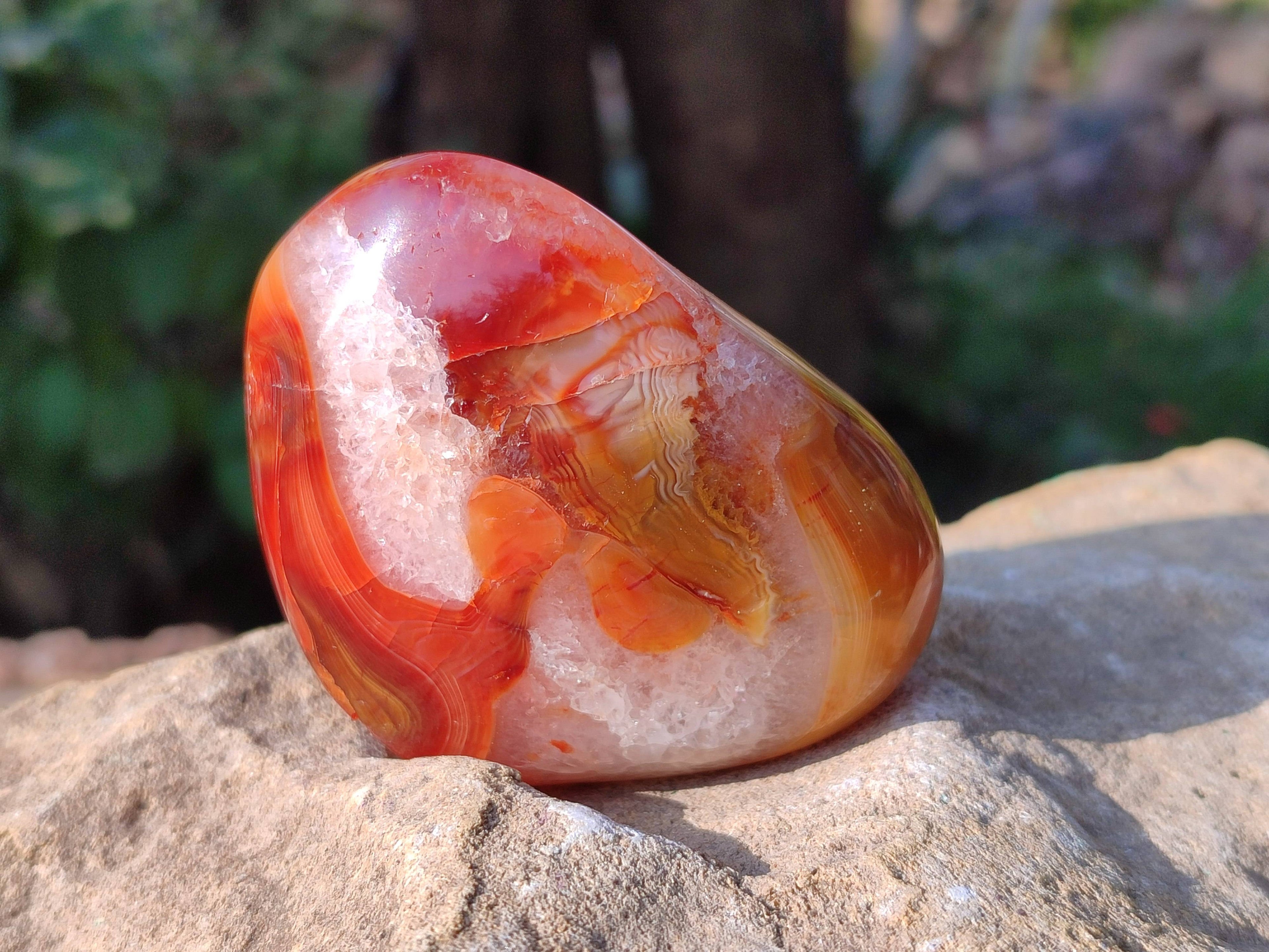 Polished Carnelian Galets x 13 From Madagascar - Toprock Gemstones and Minerals 