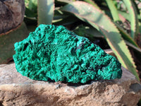 Natural Silky Malachite Specimens x 6 From Kasompe, Congo