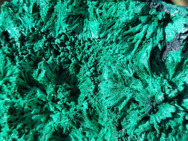 Natural Silky Malachite Specimens x 6 From Kasompe, Congo
