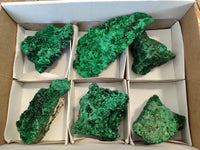 Natural Silky Malachite Specimens x 6 From Kasompe, Congo