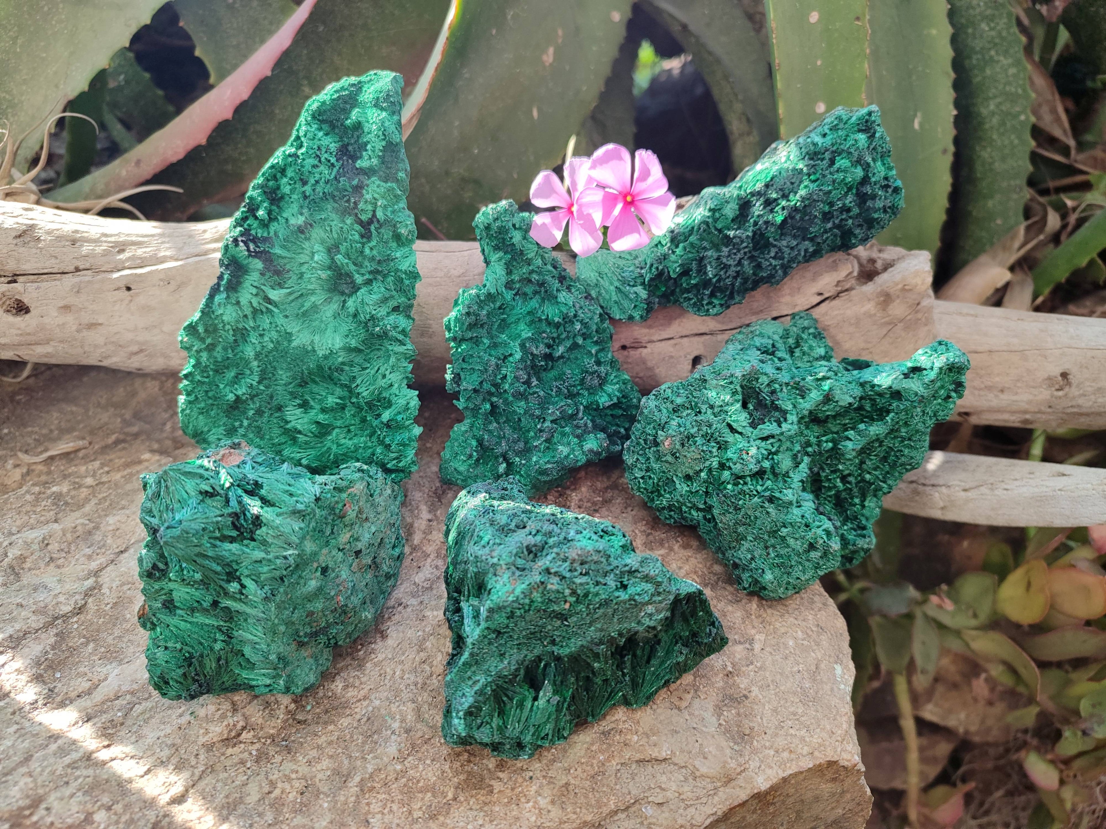 Natural Silky Malachite Specimens x 6 From Kasompe, Congo - Toprock Gemstones and Minerals 