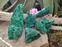 Natural Silky Malachite Specimens x 6 From Kasompe, Congo
