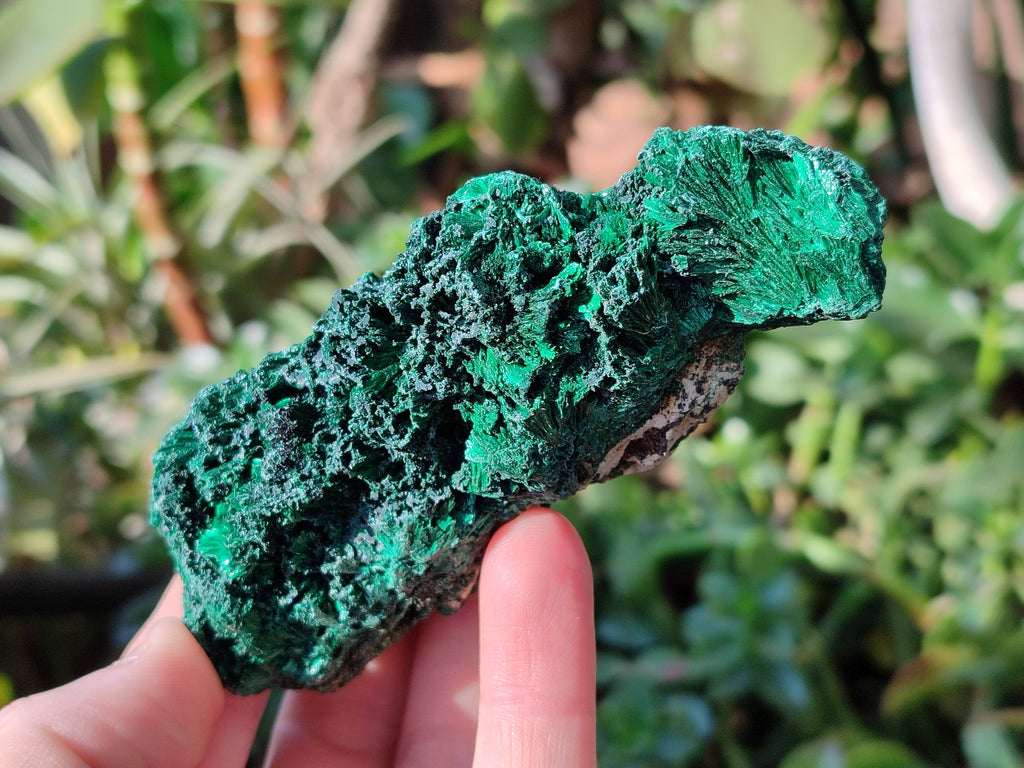 Natural Silky Malachite Specimens x 6 From Kasompe, Congo - Toprock Gemstones and Minerals 