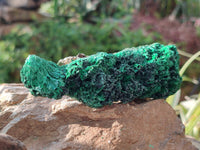 Natural Silky Malachite Specimens x 6 From Kasompe, Congo