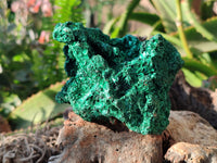 Natural Silky Malachite Specimens x 6 From Kasompe, Congo