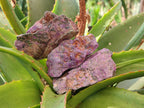 Natural Stichtite Specimens x 24 From Barberton, South Africa - Toprock Gemstones and Minerals 