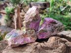 Natural Stichtite Specimens x 24 From Barberton, South Africa - Toprock Gemstones and Minerals 