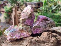 Natural Stichtite Specimens x 24 From Barberton, South Africa
