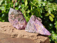 Natural Stichtite Specimens x 24 From Barberton, South Africa