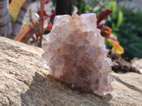 Natural Cactus Flower Smokey Amethyst Spirit Clusters x 5 From South Africa